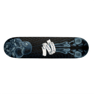 Skateboard Plus jamais ! #2