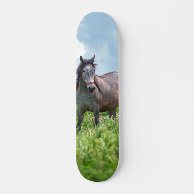 Skateboard Poderoso caballo gris en el campo (Devant)