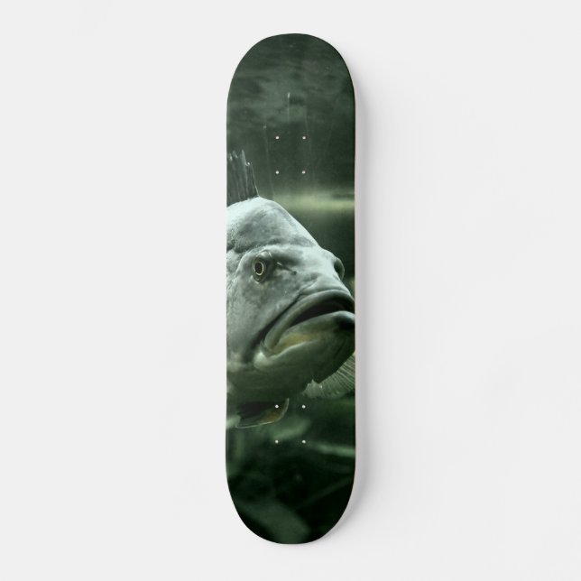 Skateboard Poisson aquatique moche (Recto)