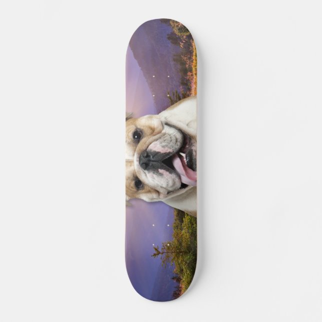 Skateboard Pré de bouledogue (Recto)