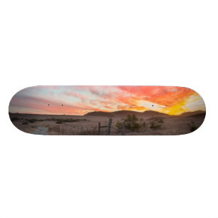 Skateboard Premier coucher du soleil du jour