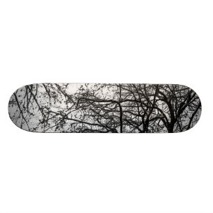 Skateboard première neige