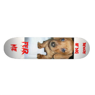 Skateboard prenez garde du chien