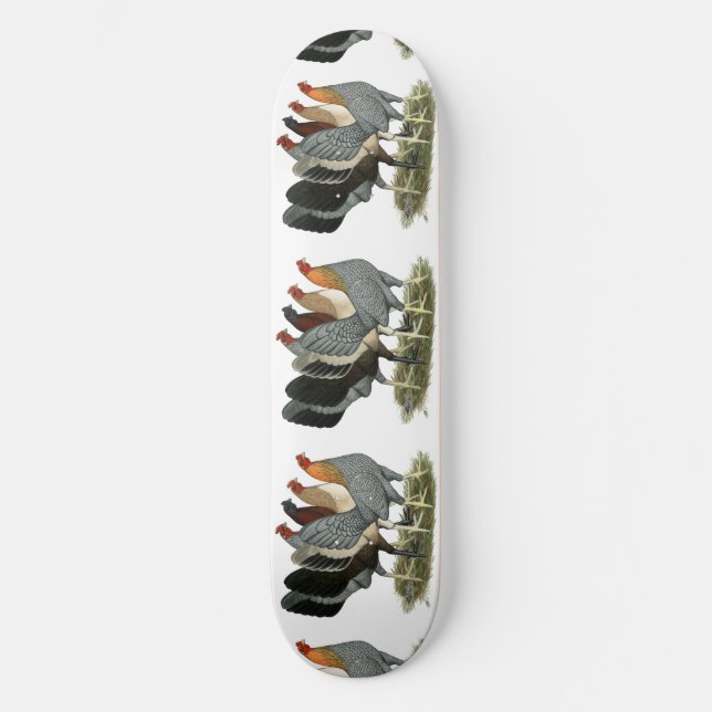 Skateboard Quatre poules de Gamefowl (Recto)