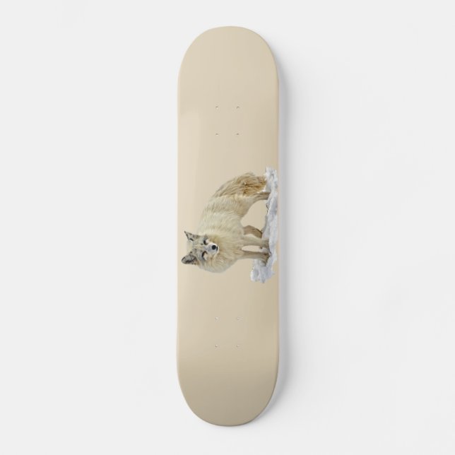 Skateboard Renard arctique (Recto)
