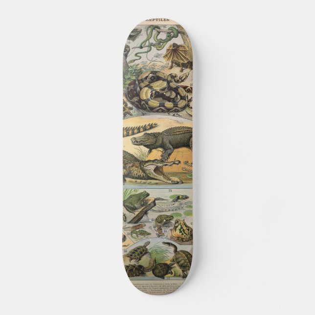 Skateboard Reptiles (Recto)