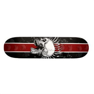Skateboard Responsabilité 101