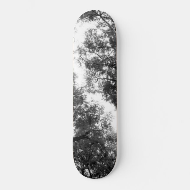 Skateboard Rêve des arbres noirs et blancs #1 #wall #art (Recto)