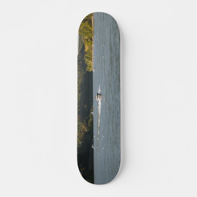 Skateboard Rhin (Devant)