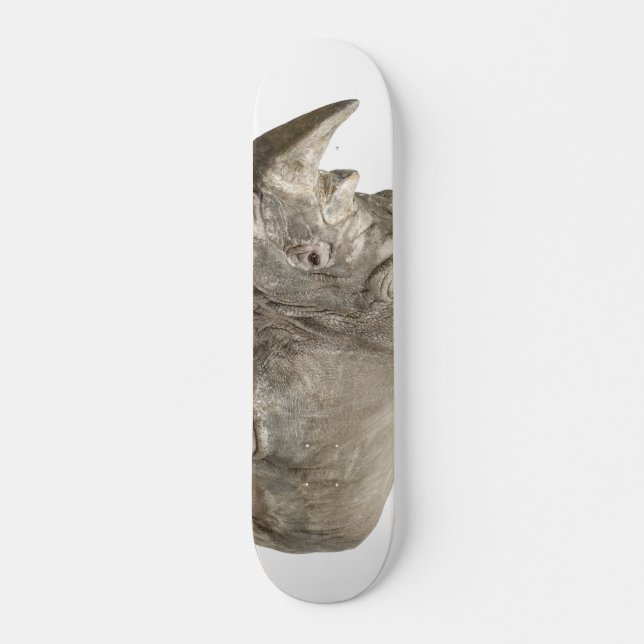 Skateboard rhinocéros (Devant)