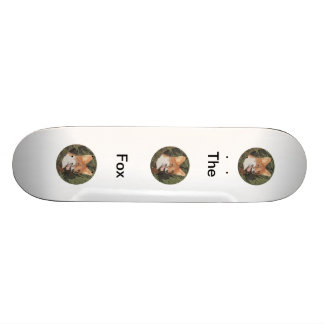 Skateboard Scateboard