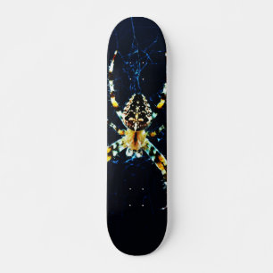 Skateboard Sdcn d'European Garden Spider