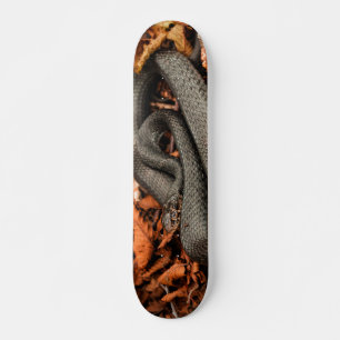 Skateboard Serpent à cailloux