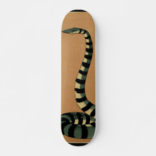 Skateboard Serpent - Antiquaire, Colorée Illustration du livr