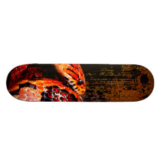 Skateboard Serpent de maïs grunge lové