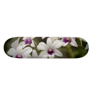 Skateboard Singapour (Sanskrit pour Lion City). National 2
