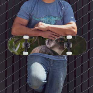 Skateboard Singe bleu, Zanzibar