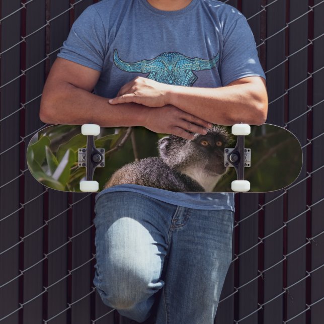 Skateboard Singe bleu, Zanzibar (Extérieur 3)