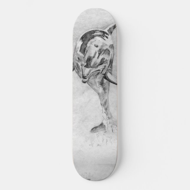 Skateboard Skate de dauphin (Recto)
