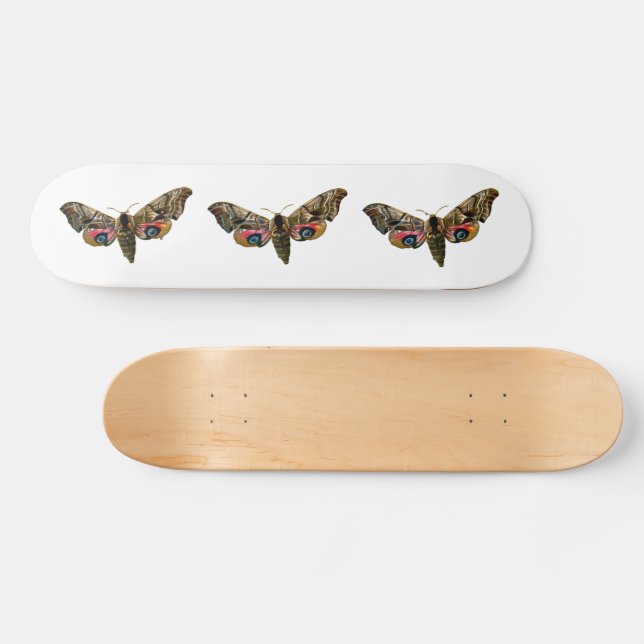 Skateboard Smerinthus ocellata - Image couleur faucon-teint (Horz)