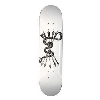 Skateboard Snake et Arrows
