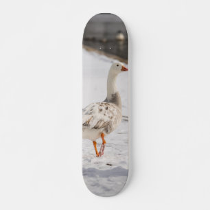 Skateboard Snow Goose Strut
