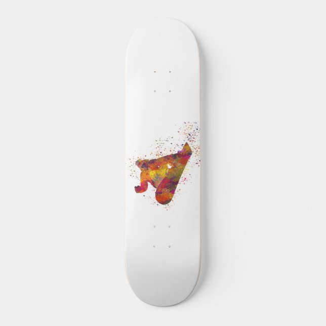 Skateboard snowboard en acuarela (Recto)