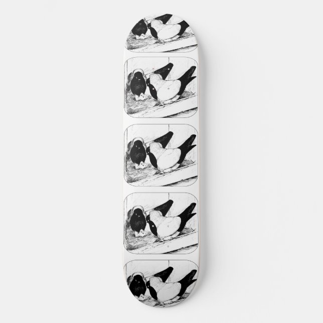 Skateboard Soeurs 1980 (Recto)
