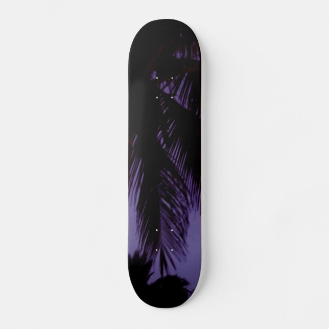 Skateboard South Beach Miami (Recto)