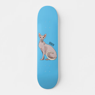 Skateboard Sphynx cat