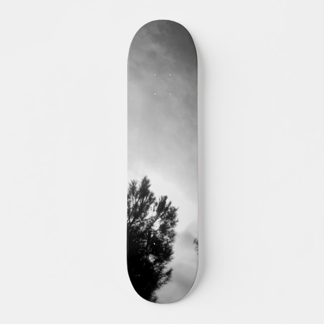 SKATEBOARD STYLE AND DESIGN (Devant)