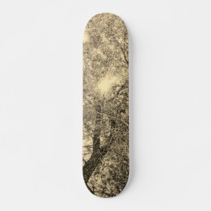 SKATEBOARD STYLE AND DESIGN