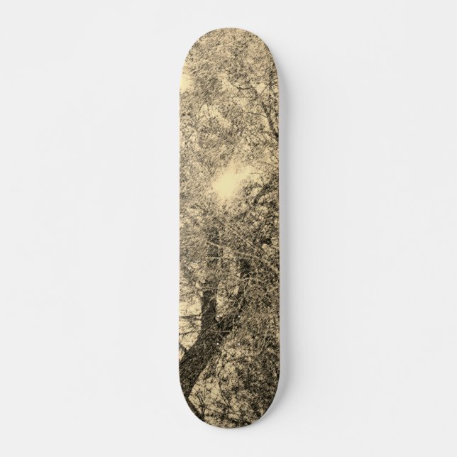 SKATEBOARD STYLE AND DESIGN (Front)