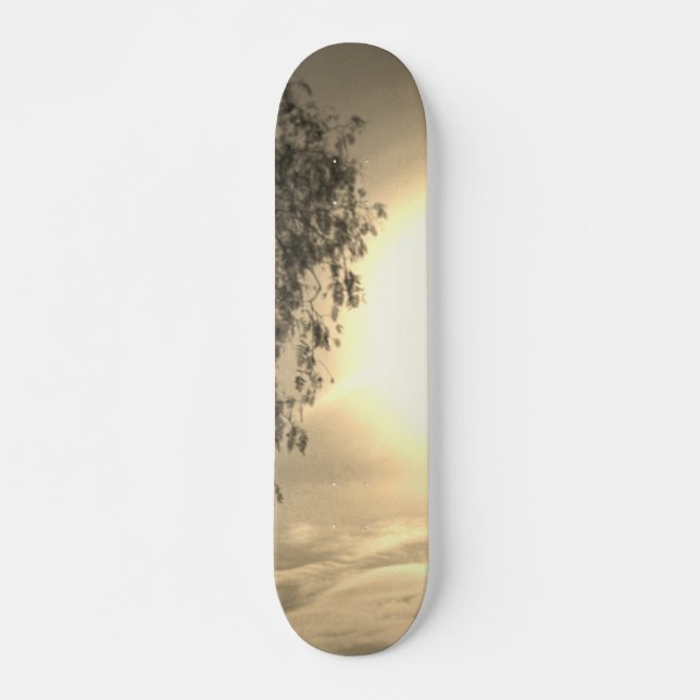 skateboard style and design (Front)