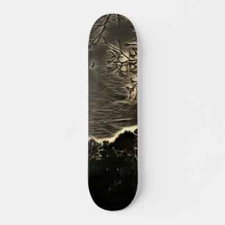 SKATEBOARD STYLE AND DESIGN
