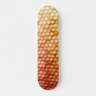 SKATEBOARD STYLE AND DESIGN