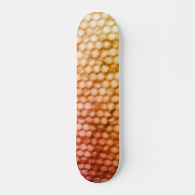 SKATEBOARD STYLE AND DESIGN (Front)