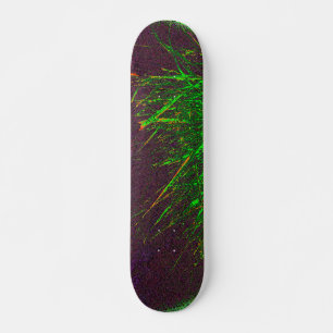 skateboard style and design