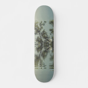 SKATEBOARD STYLE AND DESIGN