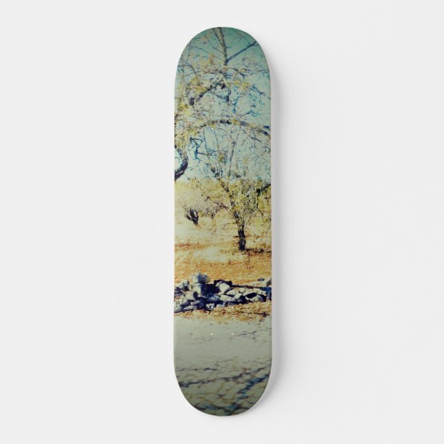 SKATEBOARD STYLE DESIGN (Front)