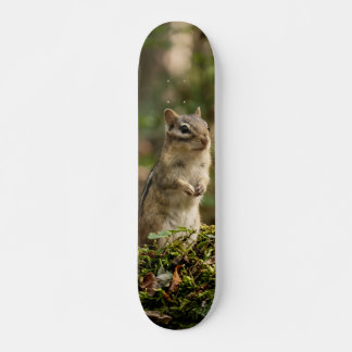 Skateboard Tabla de Skate Ardilla Silvestre en Alerta