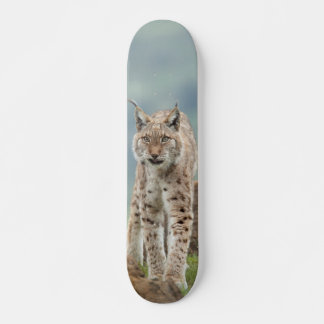 Skateboard Tabla de Skate Gato Montés Silvestre