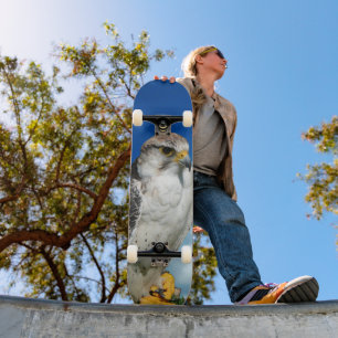 Skateboard Table Predator Bird Hawk