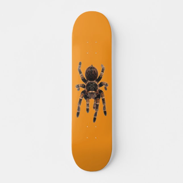 Skateboard Tarantula orange (Devant)