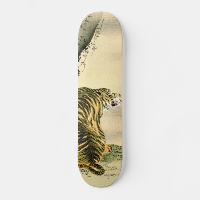 Skateboard Tigre 1870 (Recto)
