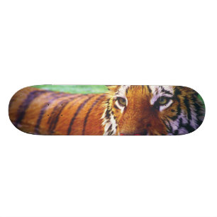 Skateboard Tigre de planche à roulettes