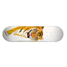 Tigre illustré