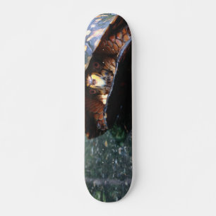 Skateboard Tortue