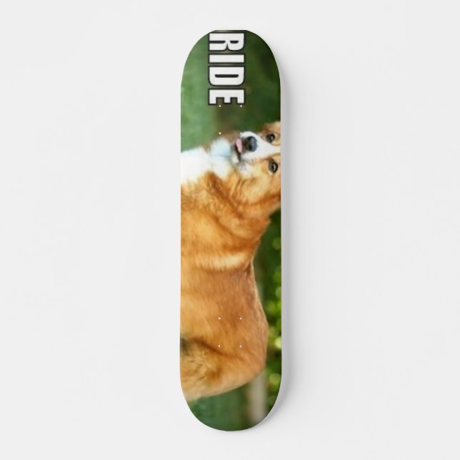 Skateboard Tour pour le corgi (Devant)