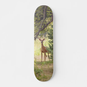 Skateboard Un cerf solitaire